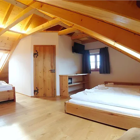 公寓 Hochgolling Loft