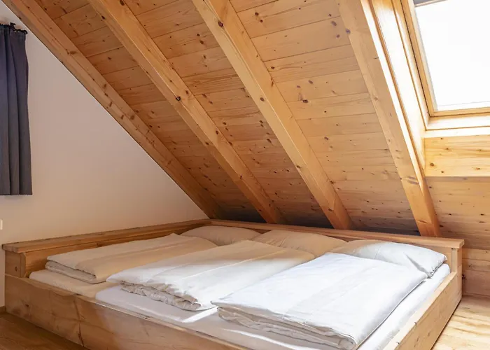 Hochgolling Loft 公寓 *