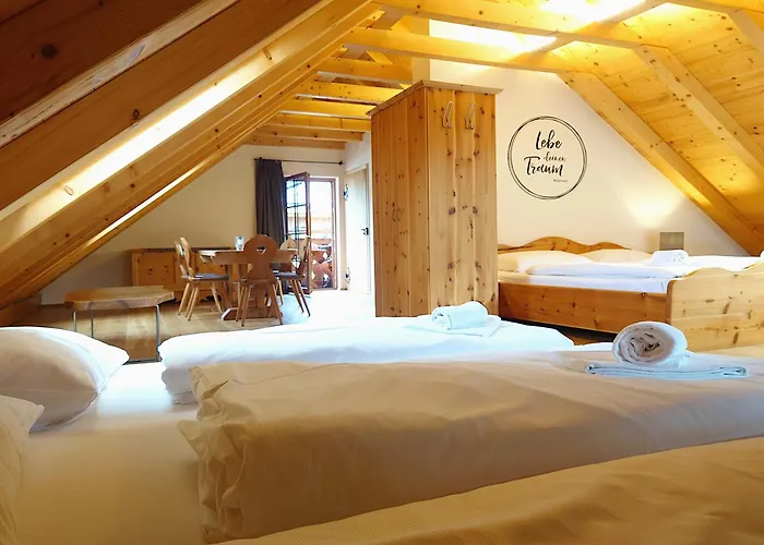 Hochgolling Loft 公寓